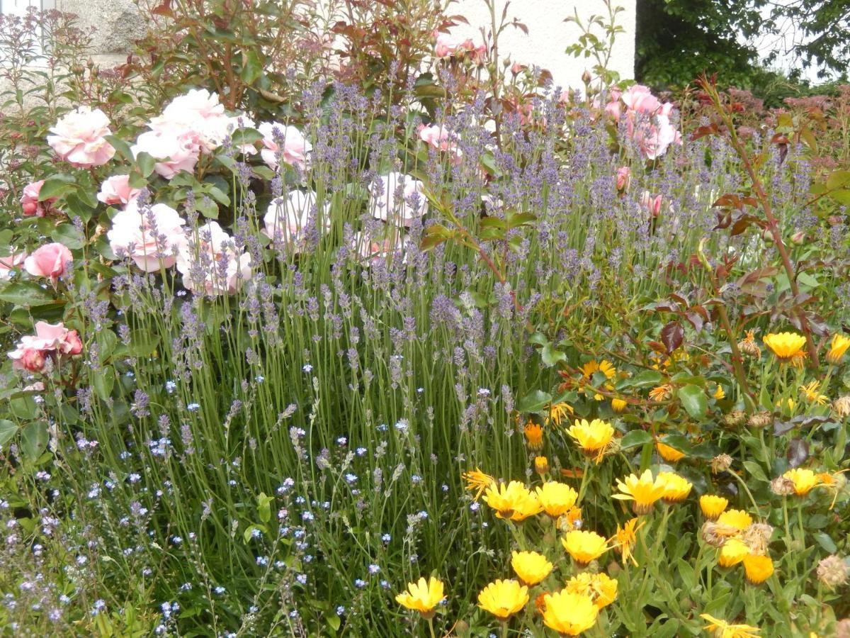 Plouvorn Le Tregonnec, Pres De Morlaix, Roscoff B&B 외부 사진