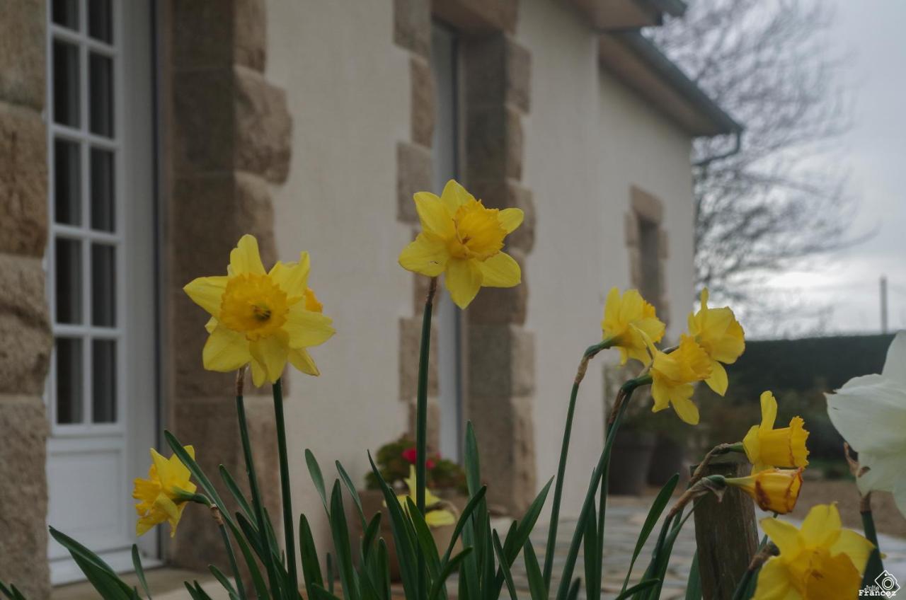 Plouvorn Le Tregonnec, Pres De Morlaix, Roscoff B&B 외부 사진